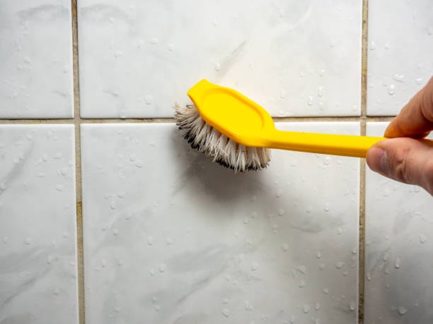 Best Mold Damage Repair  in Lake Meade, PA