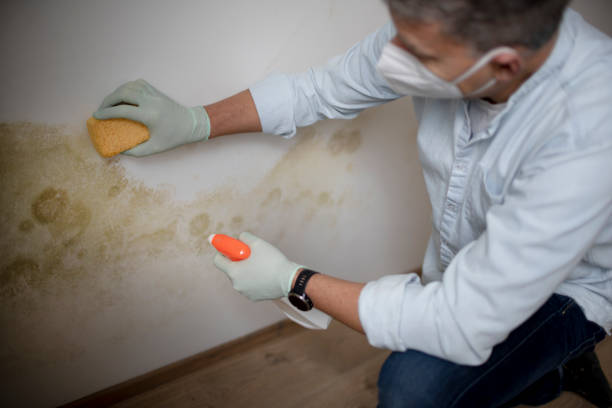 Water Damage Restoration in Lake Meade, PA